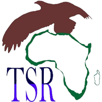 Image du logo de TSR