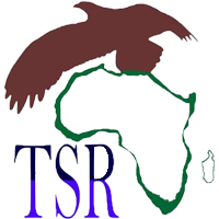Logo avec fond blanc de TSR Transports